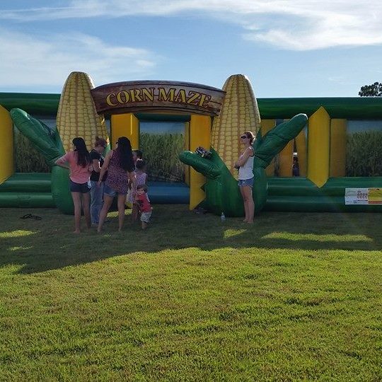Corn Maze