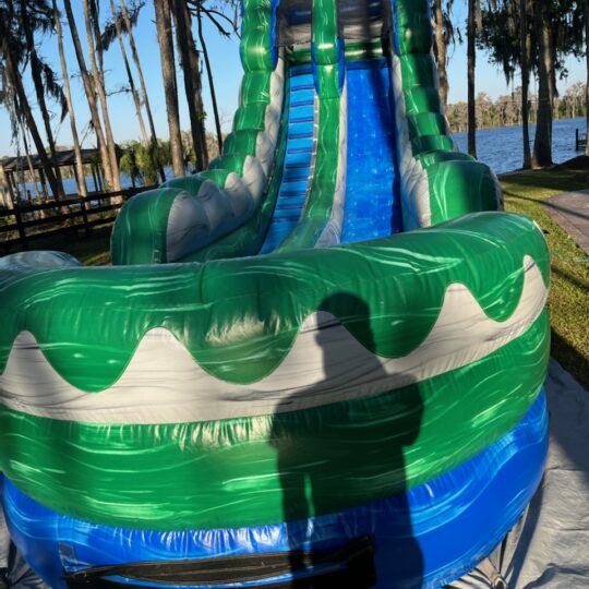 Blue Marble Slide