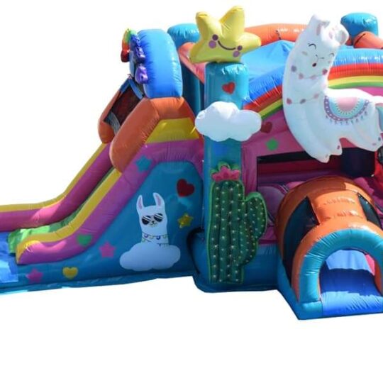 Llama Bounce House Combo