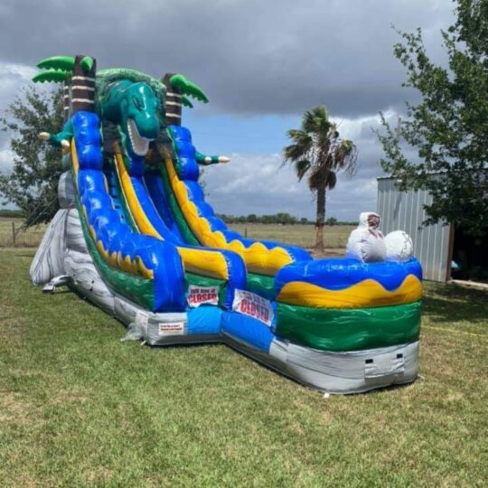 Dinosaur Slide