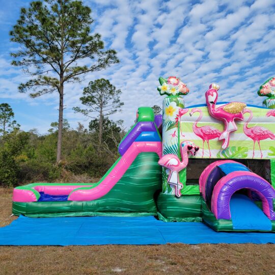 Flamingo Bounce House and Slide